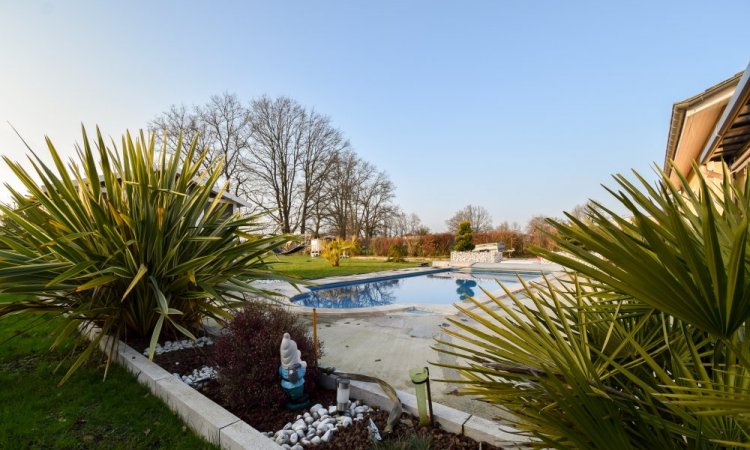 Vente de maison hors lotissement avec grand terrain et piscine à Montrevel-en-Bresse