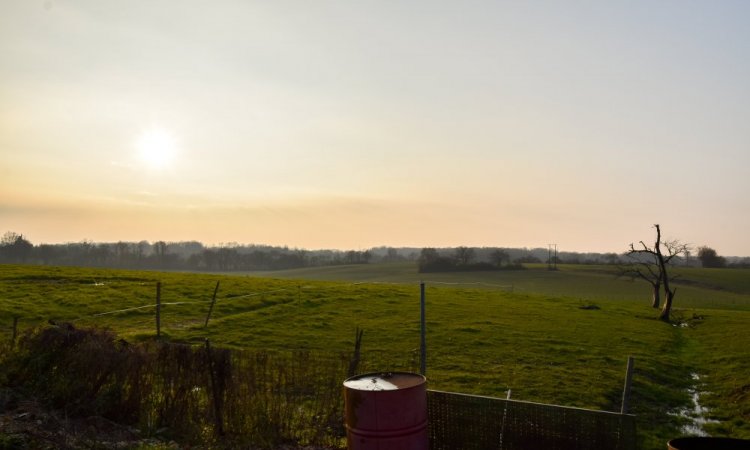 Vente de maison hors lotissement avec grand terrain et piscine à Montrevel-en-Bresse